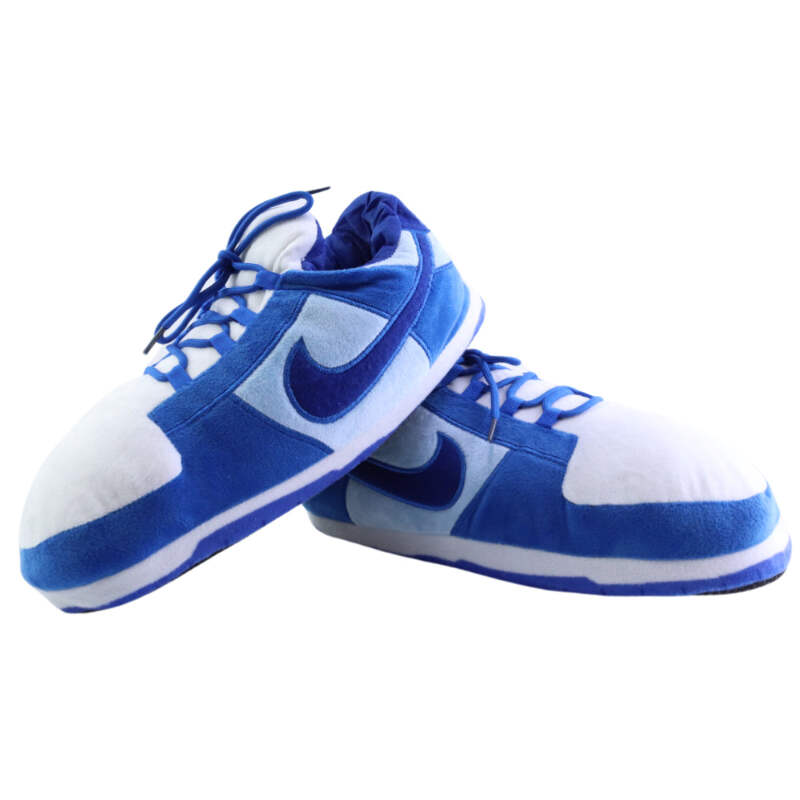 AIRSLICK - Chaussons Sneakers Nike Dunk Low Bleu